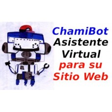 Virtual Assistant for your Website.